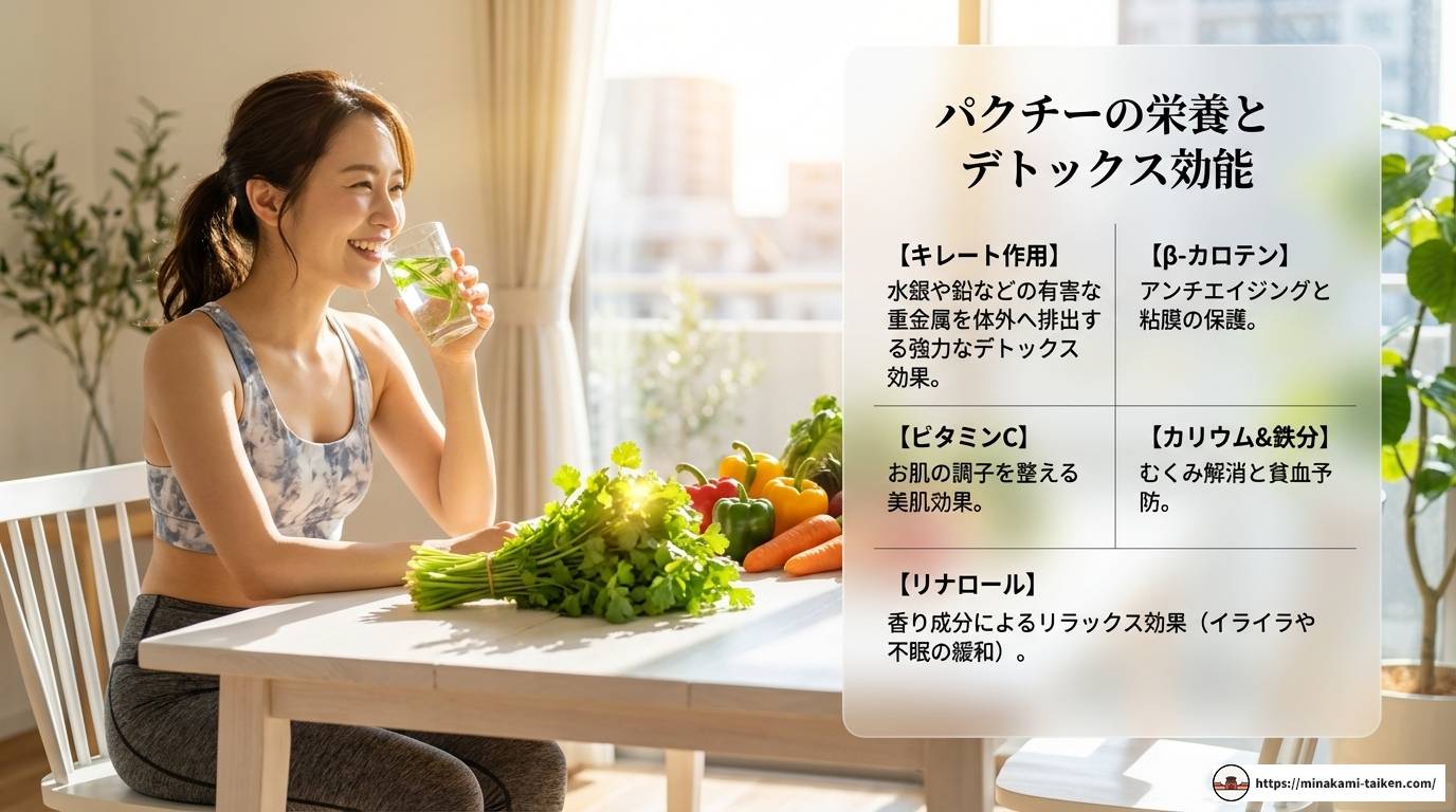 ベトナム料理のパクチーの魅力と本場の楽しみ方を徹底解説する