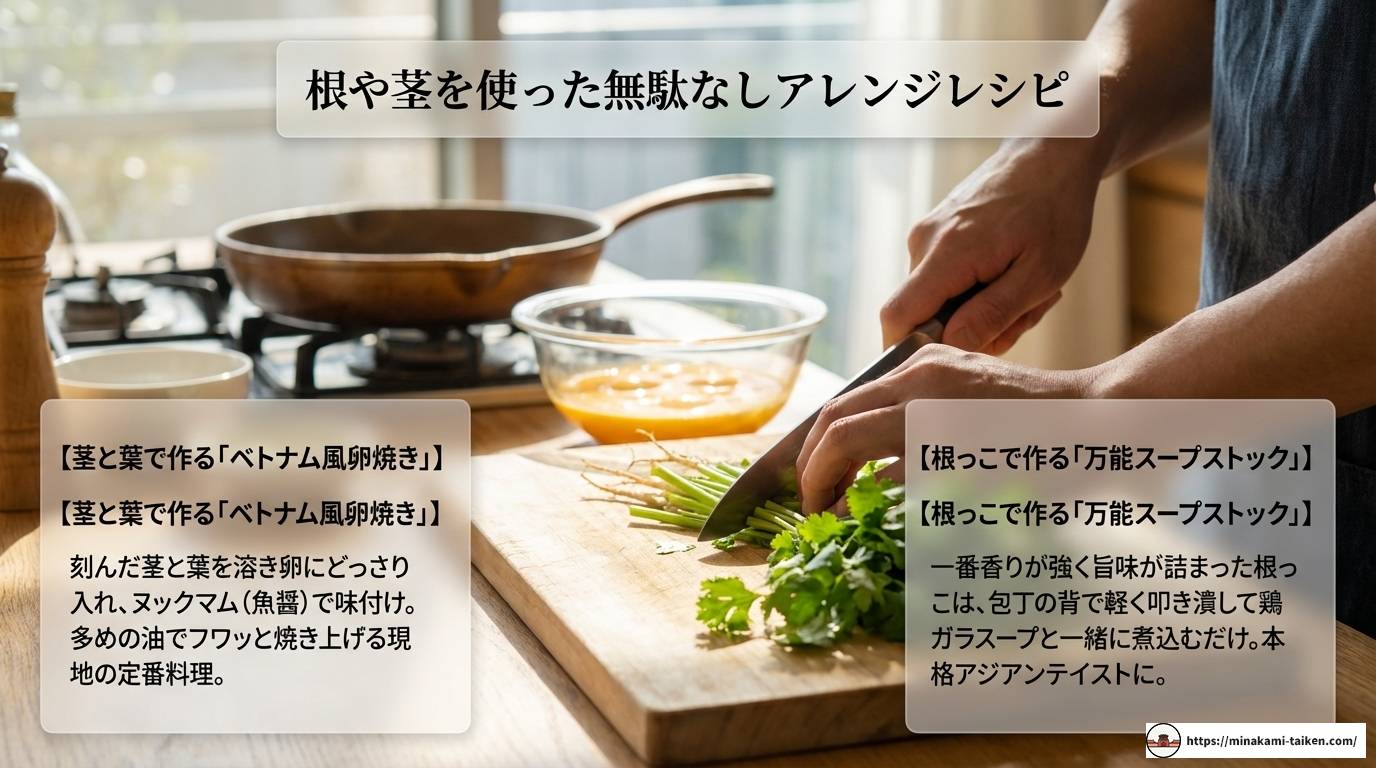 ベトナム料理のパクチーの魅力と本場の楽しみ方を徹底解説する