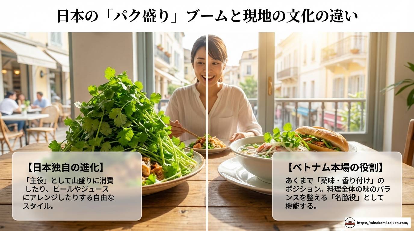 ベトナム料理のパクチーの魅力と本場の楽しみ方を徹底解説する