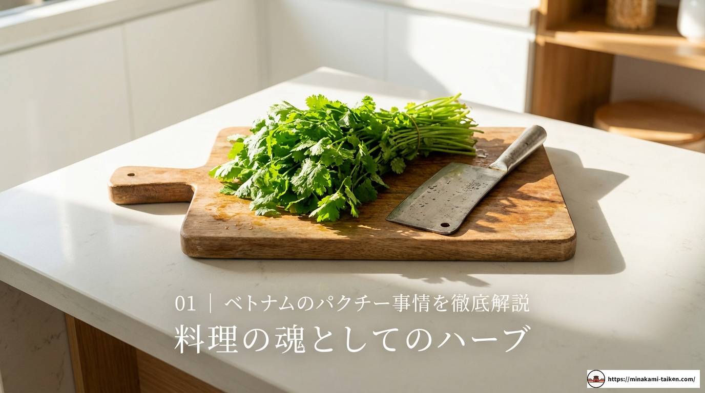 ベトナムのパクチー事情！種類や名前から楽しみ方まで徹底解説