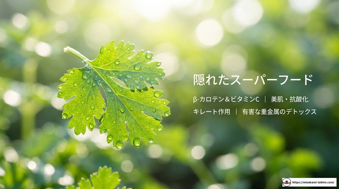 ベトナムのパクチー事情！種類や名前から楽しみ方まで徹底解説