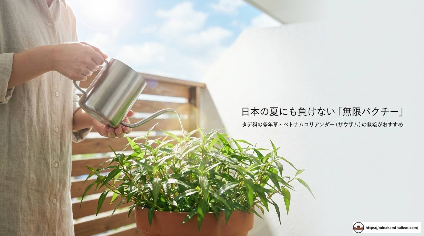 ベトナムのパクチー事情！種類や名前から楽しみ方まで徹底解説