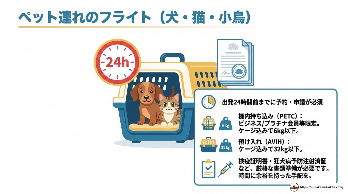 ベトナム航空の荷物ルール完全ガイド【2024年最新】