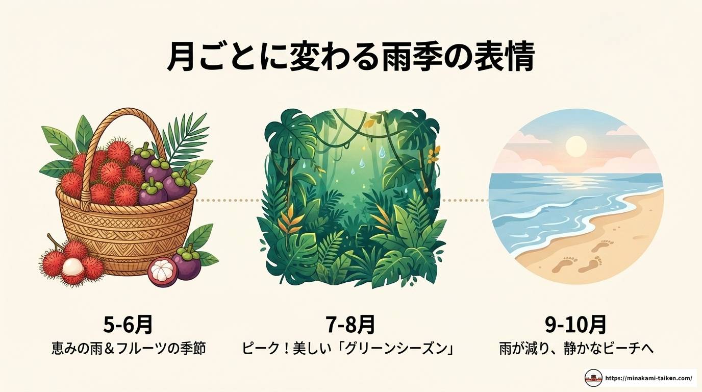 フーコック島雨季の魅力を徹底解説|服装・観光スポットも紹介